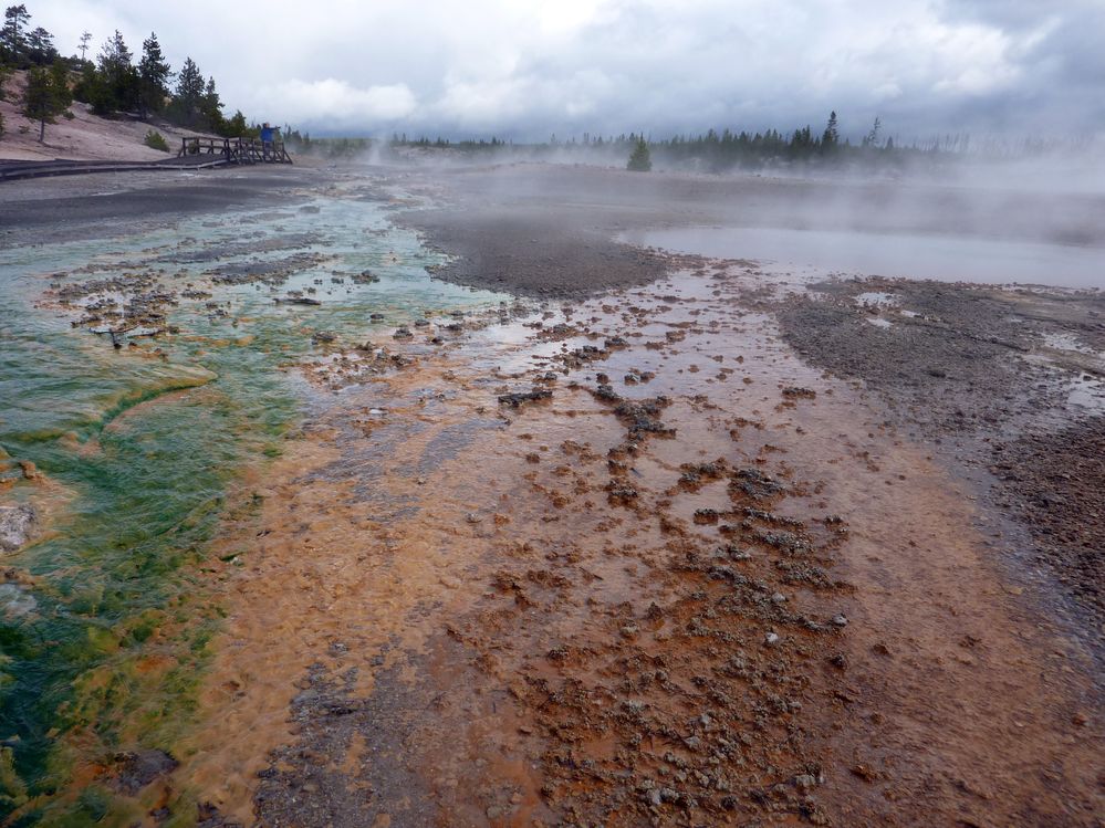 Yellowstone Norris Geyser (106).JPG